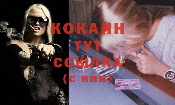 стаф Вязники